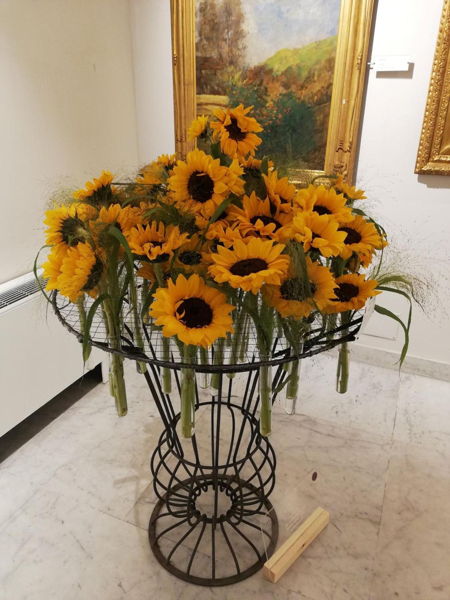 Ilgirasole B&B Rapallo Exterior foto